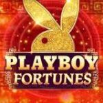 Playboy Fortunes King Million Slot