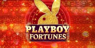 Playboy Fortunes King Million Slot